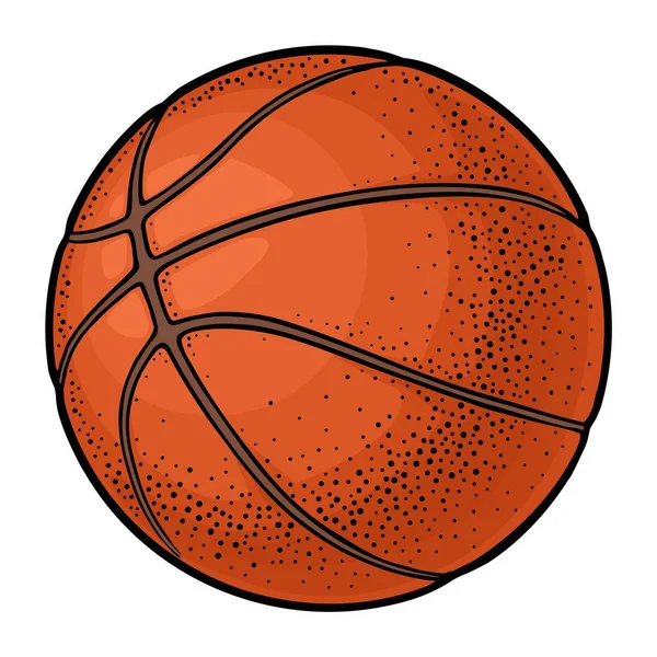 Basketballball Vektorfarbgravur Illustration Isoliert Auf Weißem Hintergrund Handgezeichnetes Gestaltungselement Für — Stockvektor