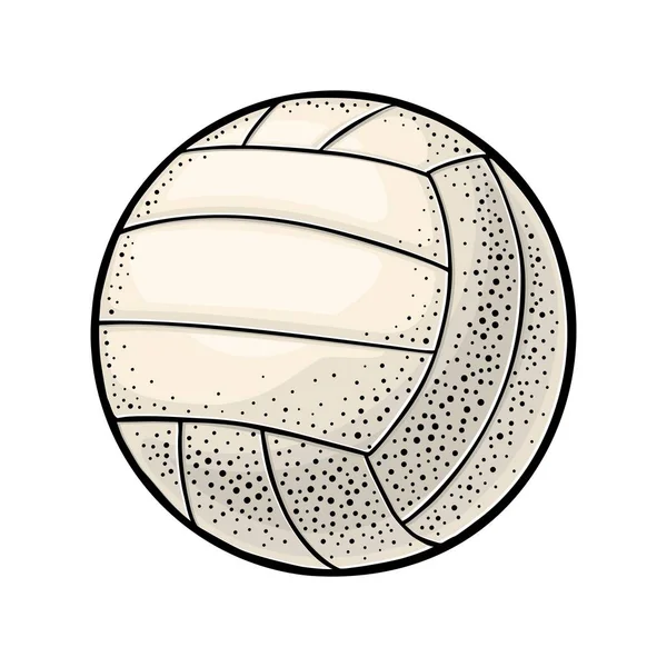 Bola Voleibol Vintage Gravura Vetor Cor Ilustração Isolado Fundo Branco — Vetor de Stock