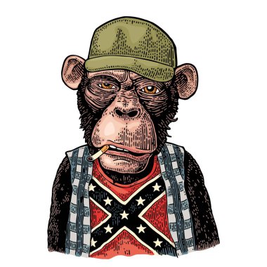 Maymun cahil kamyon şoförü Cap, Konfederasyon bayraklı tişört.