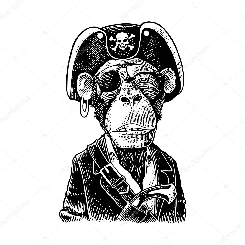 Monkey pirate with gun dressed in a cocked hat. Engraving