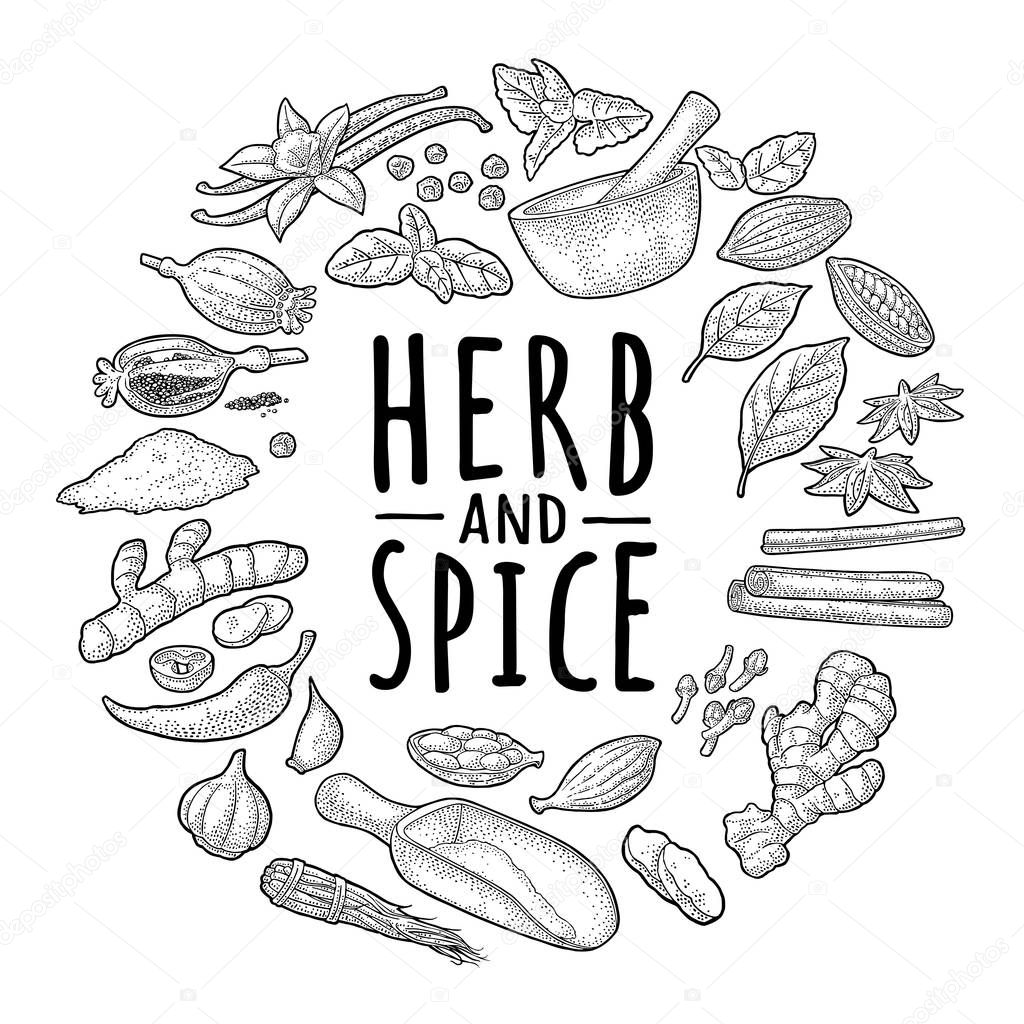 Circle shape set with HERB and SPICE. Set vector black engraving