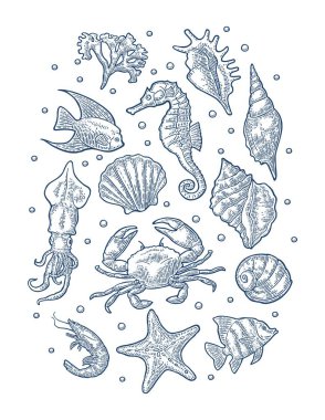 Set sea animal. Vector monochrome engraving vintage illustrations isolated on white clipart
