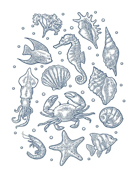 Pôr animais marinhos. Vetor monocromático gravura ilustrações vintage isolados em branco —  Vetores de Stock