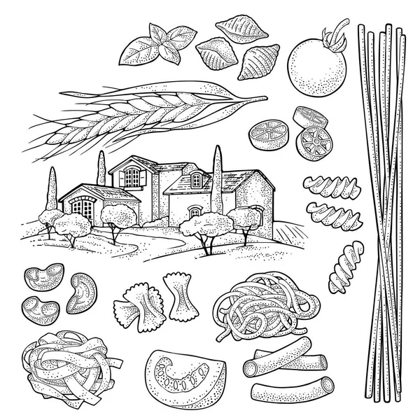 Différents types de macaronis. Gravure vectorielle vintage noire isolée sur blanc — Image vectorielle