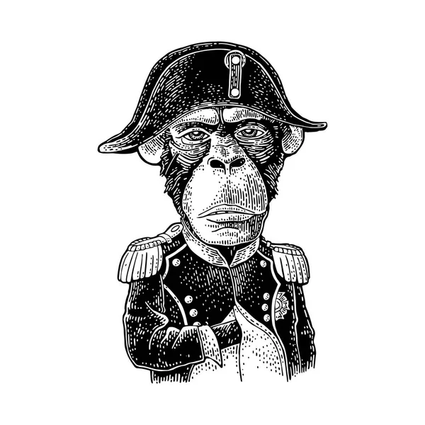 Monkey klädd i den franska militära uniform och mössa. Vintage svart gravyr — Stock vektor