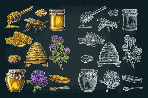 蜂蜜セット。はちみつ、ミツバチ、ハイブ、クローバー、ハニカムの瓶。ベクトル ヴィンテージ刻まれた図 — ストックベクタ