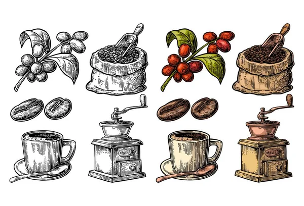 Säckchen mit Kaffeebohnen mit Holzlöffel und Bohnen, Tasse, Zweig mit Blatt und Beere. — Stockvektor