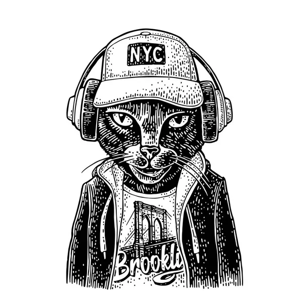Kedi, hoodie giymiş kulaklıklar için. Vintage siyah gravür — Stok Vektör