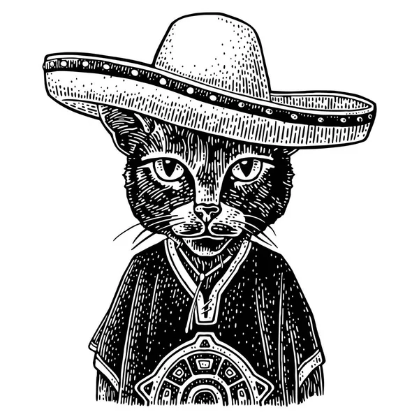 Macska öltözött poncsó, sombrero. Vintage fekete gravírozás — Stock Vector