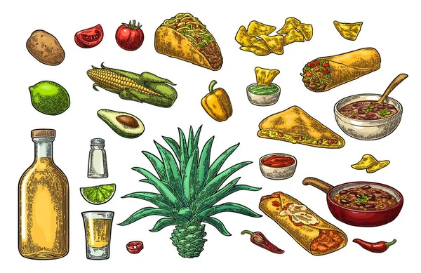 Ensemble mexicain de nourriture et de boissons traditionnelles. Tequila, Guacamole, Burrito, Tacos — Image vectorielle