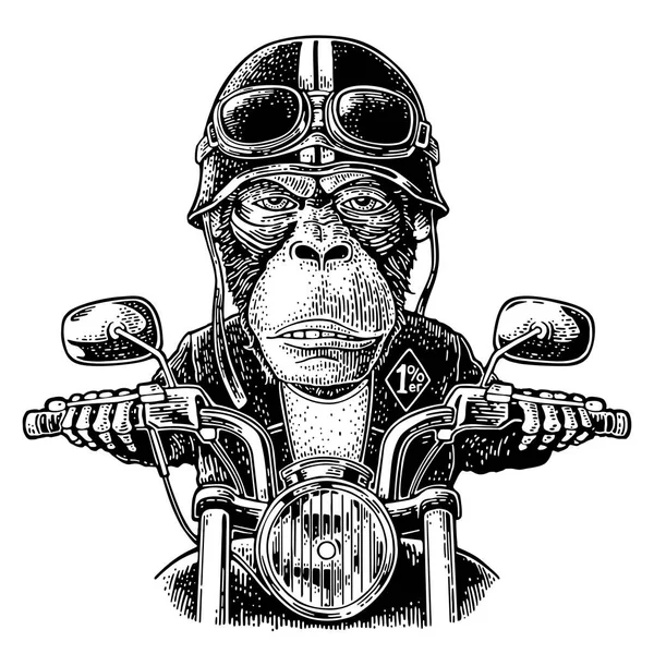 Monkey jazdy motocyklem przejażdżki. Wektor Vintage Grawerowanie — Wektor stockowy