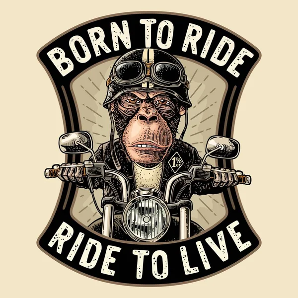 Monkey driving a motorcycle rides. Vector vintage engraving — Stock Vector