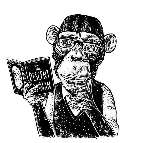 Mono hipster está leyendo un libro. Grabado negro vintage — Vector de stock