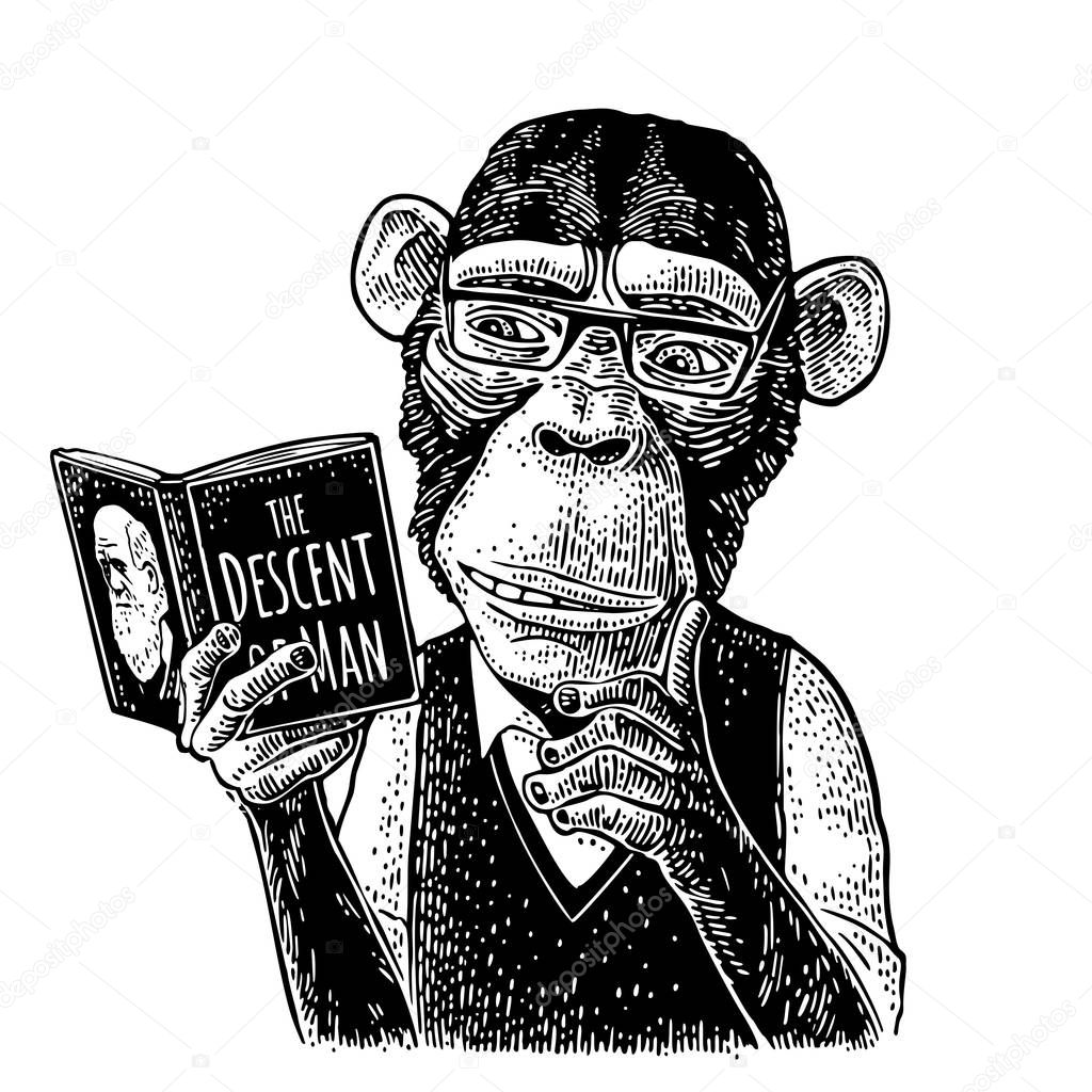 Monkey hipster is reading a book. Vintage black engraving