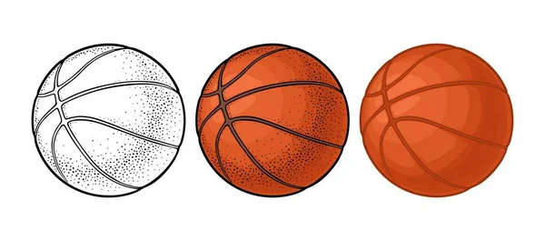 Bola de basquetebol. Ilustração de gravura a cores vetorial. Isolado sobre fundo branco . — Vetor de Stock