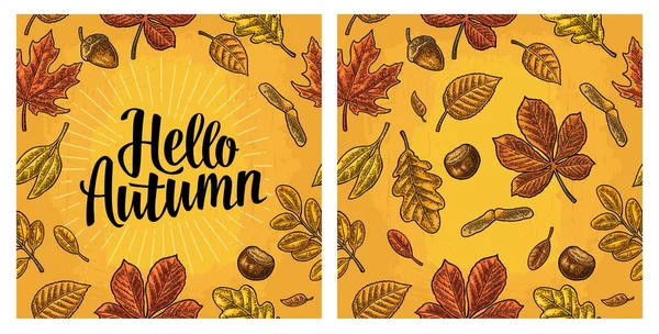Patrón de hojas sin costura, bellota, castaño y semillas. Hola Letras de otoño . — Archivo Imágenes Vectoriales