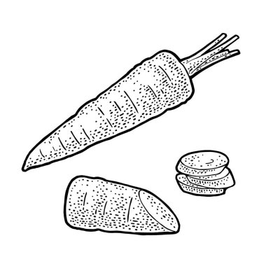 Havuç bütün, yarım ve dilim. Vektör siyah vintage gravür