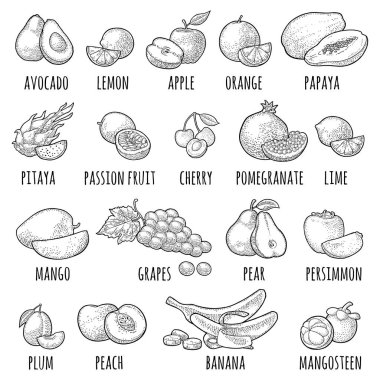 Tropikal meyveler koyun. Beyaz üzerine izole edilmiş siyah oyma.