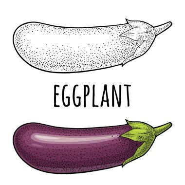 Patlıcan. Vektör siyah vintage gravür illüstrasyon beyaz arka plan üzerinde izole