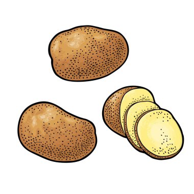 Bütün patates ve dilim. Vektör oyma vintage