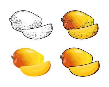 Tam ve dilimlenmiş mango. Vektör renk vintage gravür ve düz