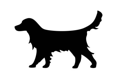 Labrador retriever simgesi. Köpek silueti ayakta. Vektör düz illüstrasyon izole
