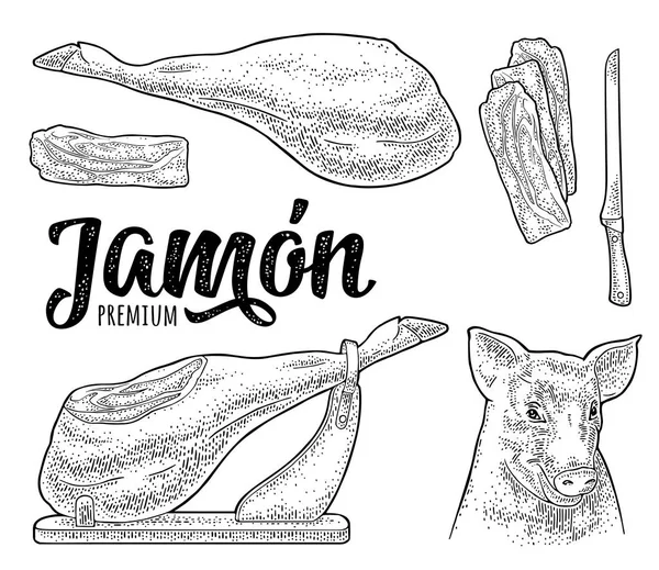 Tête de cochon et jamon. Gravure vintage vectorielle noire — Image vectorielle