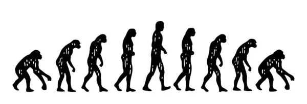 Теория эволюции человека. От обезьяны к человеку. Винтажная гравировка — стоковый вектор