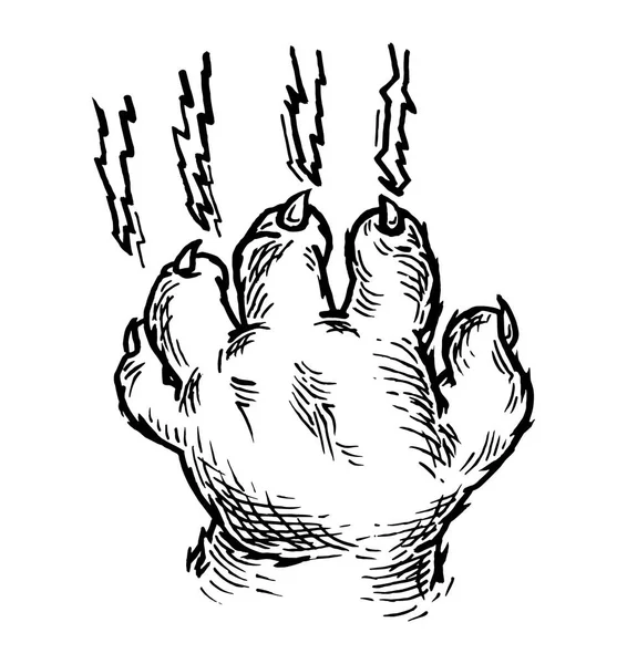 Kedi pençesi tırmalama izi. Vektör siyah vintage oymacılığı