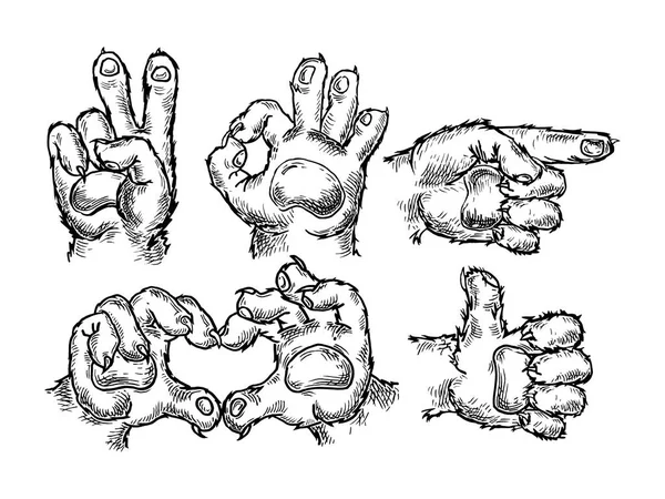 Cat Paw-teckenuppsättningen. Pekar, okej, seger gest. Vektor Vintage gravyr — Stock vektor