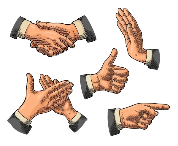 Manlig Hand tecken. Gilla, Ok, långfingret, Stop, handslag, seger — Stock vektor