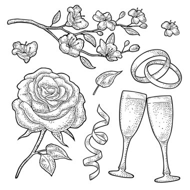 Düğün seti vintage siyah vektör oyma beyaz izole.