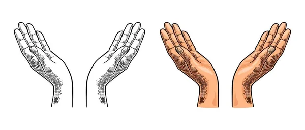 Duas mãos femininas abertas mostrando gesto protetor. Cor do vetor gravura vintage —  Vetores de Stock