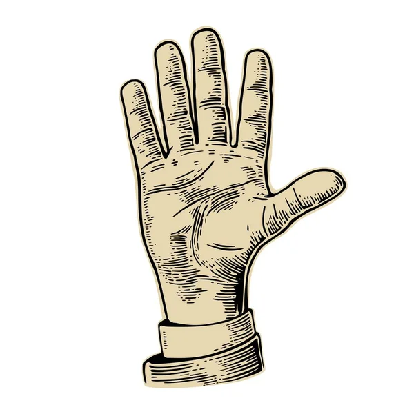 Mano masculina mostrando cinco dedos. Vector negro vintage grabado ilustración aislada sobre un fondo blanco. Signo de mano para web, póster, infografía — Vector de stock