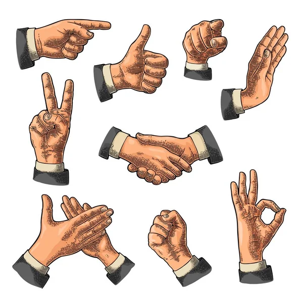 Mužské ruce znamení. Jako, Handshake, Ok, Stop, prostředníček, vítězství — Stockový vektor