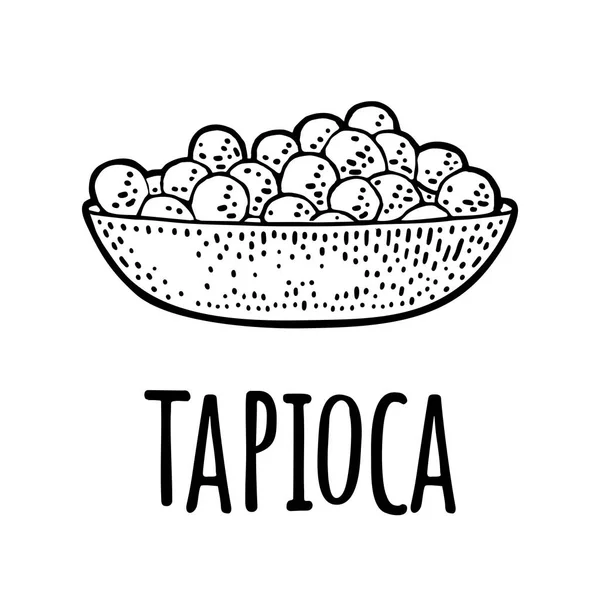 Prato com bola de tapioca. Gravura Vector vintage — Vetor de Stock