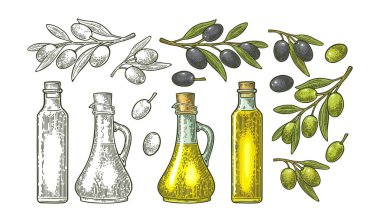 Şişe mantarlı cam yağ ve yapraklı zeytin dalı.