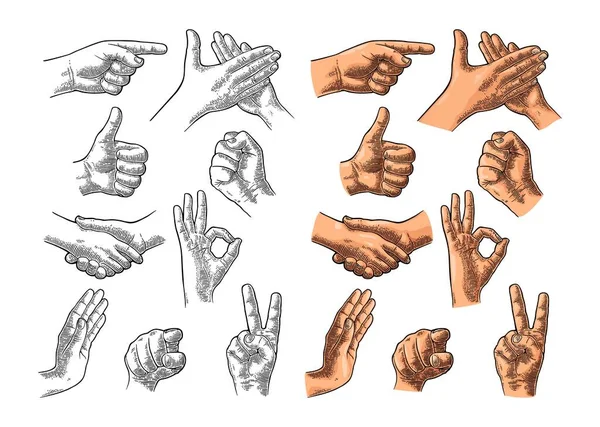 Mužské ruce znamení. Jako, Handshake, Ok, Stop, prostředníček, vítězství — Stockový vektor