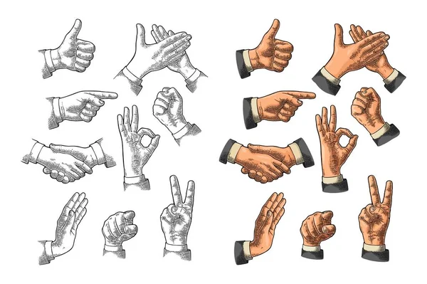 Signo de mano masculino. Como, apretón de manos, vale, para, dedo medio, victoria — Vector de stock