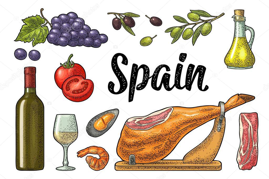 Spain traditional food set. Vector vintage color engraving