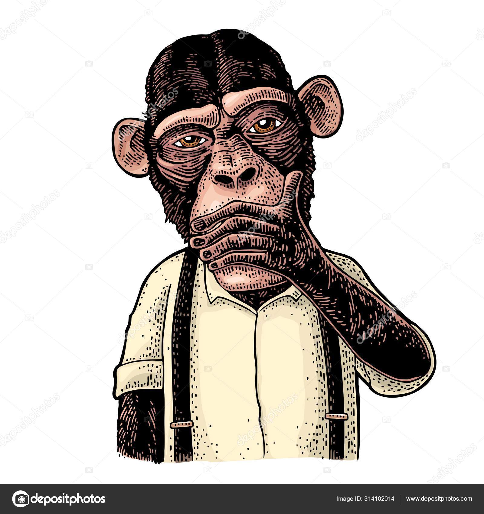 Monkey Meme Stock Illustrations – 52 Monkey Meme Stock Illustrations,  Vectors & Clipart - Dreamstime