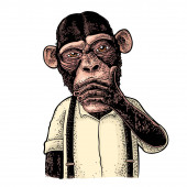 Картина, постер, плакат, фотообои "three wise monkeys. not see, not hear, not speak. vintage engraving", артикул 314102014