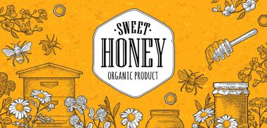 Horizontal poster honey. Vector vintage color engraving