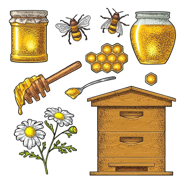 Honungsset. Vektor vintage färg gravering isolerad på vitt — Stock vektor