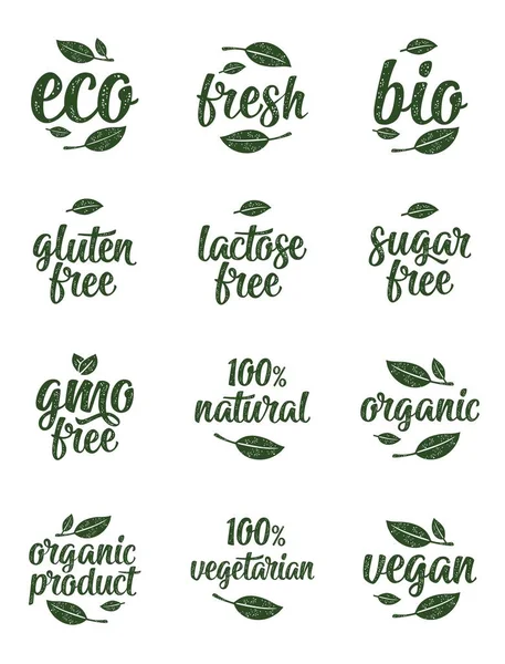 Gluten Lactose Sugar Gmo Free Bio Eco Fresh Calligraphic Handwriting — Stock Vector