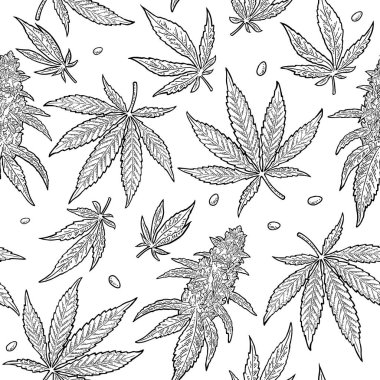 Marihuana yaprağıyla kusursuz desen. El çizimi element kenevir. Etiket, poster ve web için klasik siyah vektör oyma çizimi. Beyaz arkaplanda izole