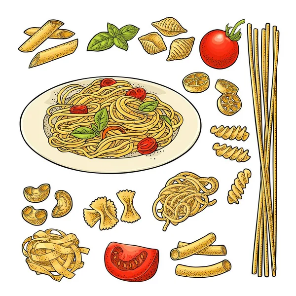 Différents Types Macaronis Spaghettis Sur Assiette Farfalle Conchiglie Maccheroni Fusilli — Image vectorielle