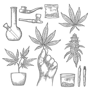 Marihuana hazırla. Sigara, pipo, çakmak, tomurcuklar, el tutma yaprağı, şişe, sigara, cam kavanoz, plastik torba, esrar içmek için pipo. Beyaz üzerine izole edilmiş klasik siyah vektör oymacılığı