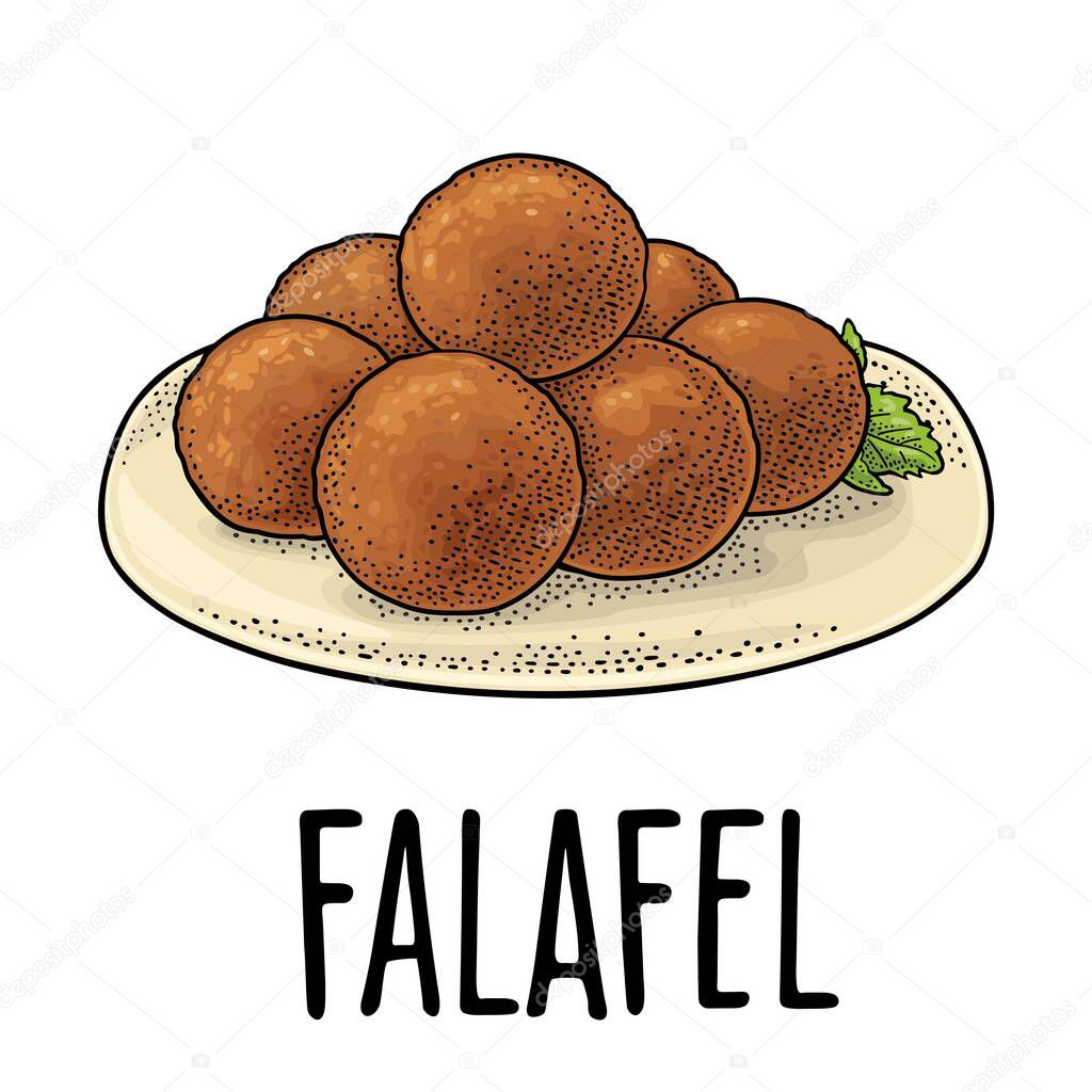 Falafel balls with sauce - dish middle eastern traditional food. Vector black vintage engraving illustration isolated on a white background.