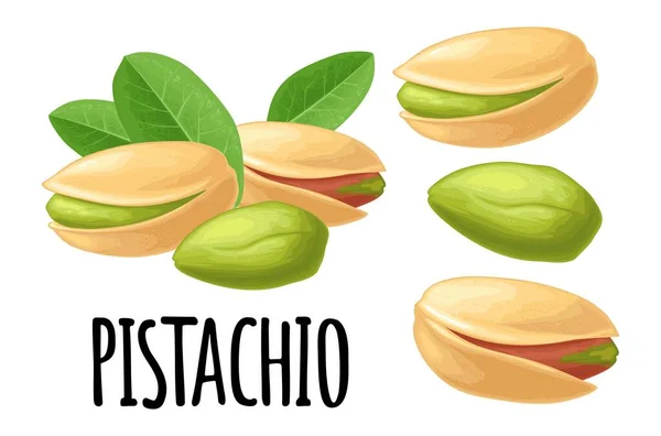 Nuez Pistacho Con Sin Cáscara Ilustración Realista Del Color Vectorial — Archivo Imágenes Vectoriales